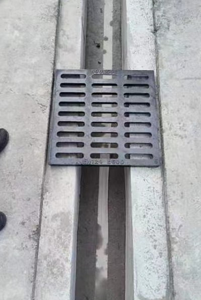 5456.jpg
